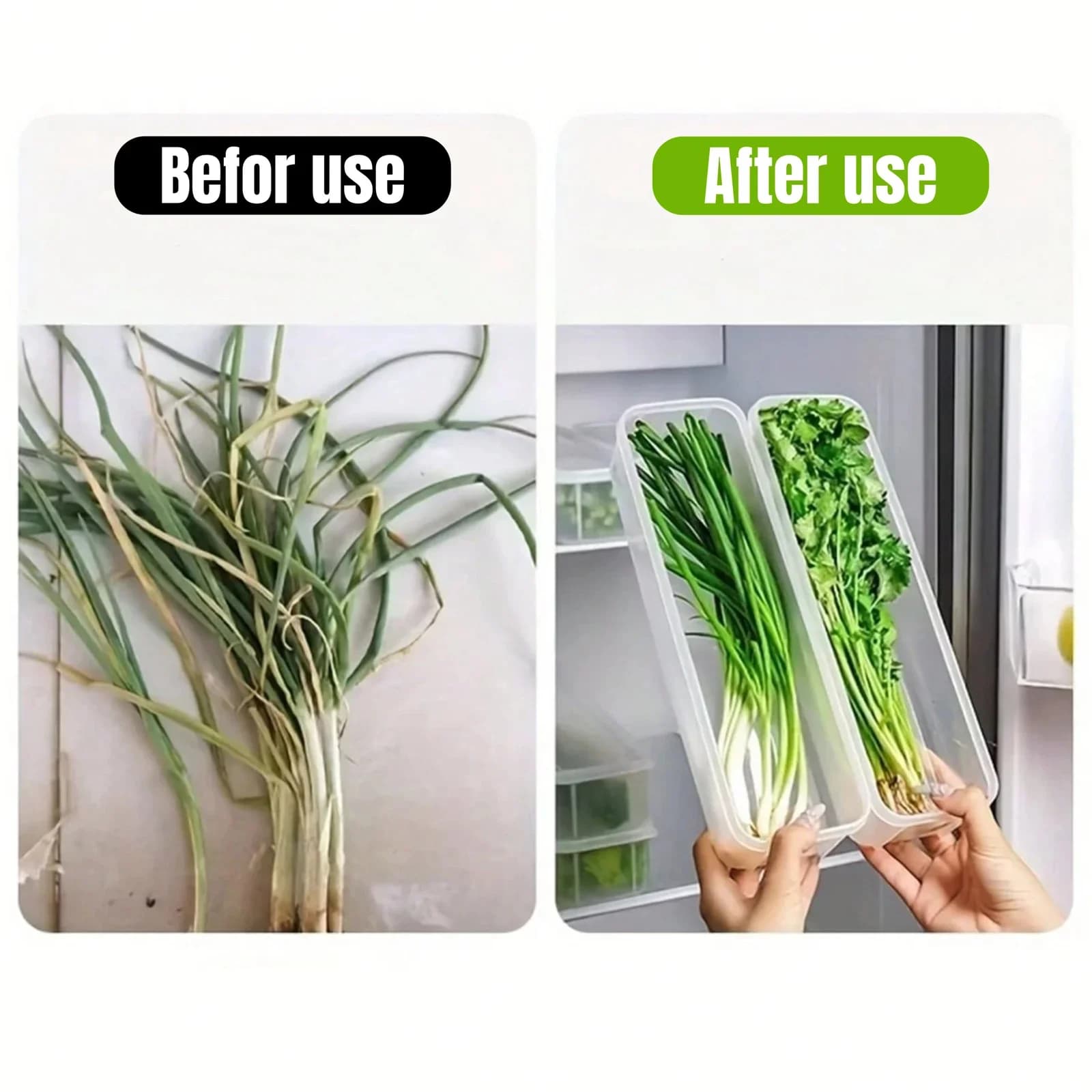Contenitori Salvafreschezza per Frigorifero con Coperchio (1/2/4 pz) per Verdure e Alimenti