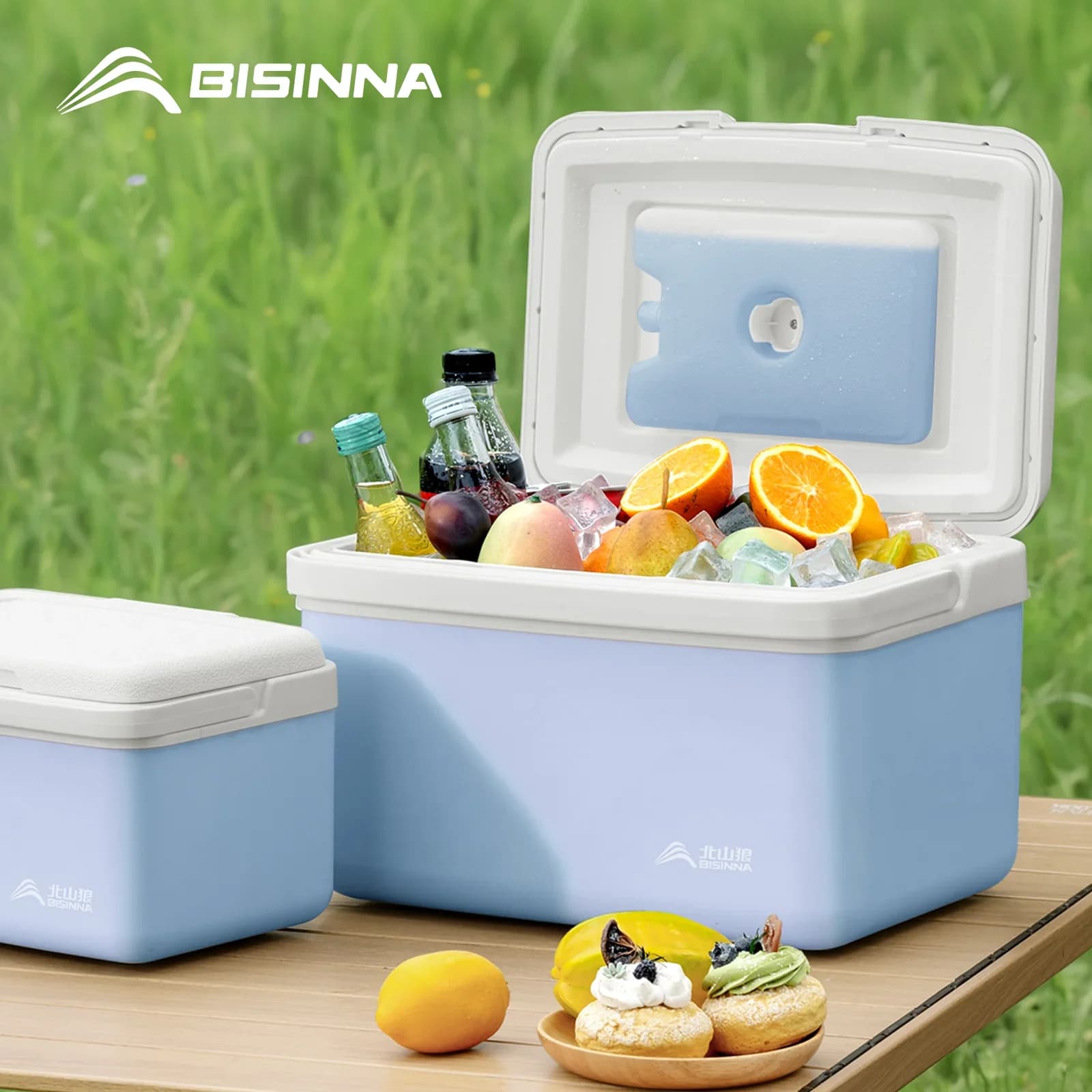 Ghiacciaia da Campeggio BISINNA 6L/9L/15L Borsa Frigo Portatile Rigida per Auto Pesca Spiaggia Picnic Barbecue