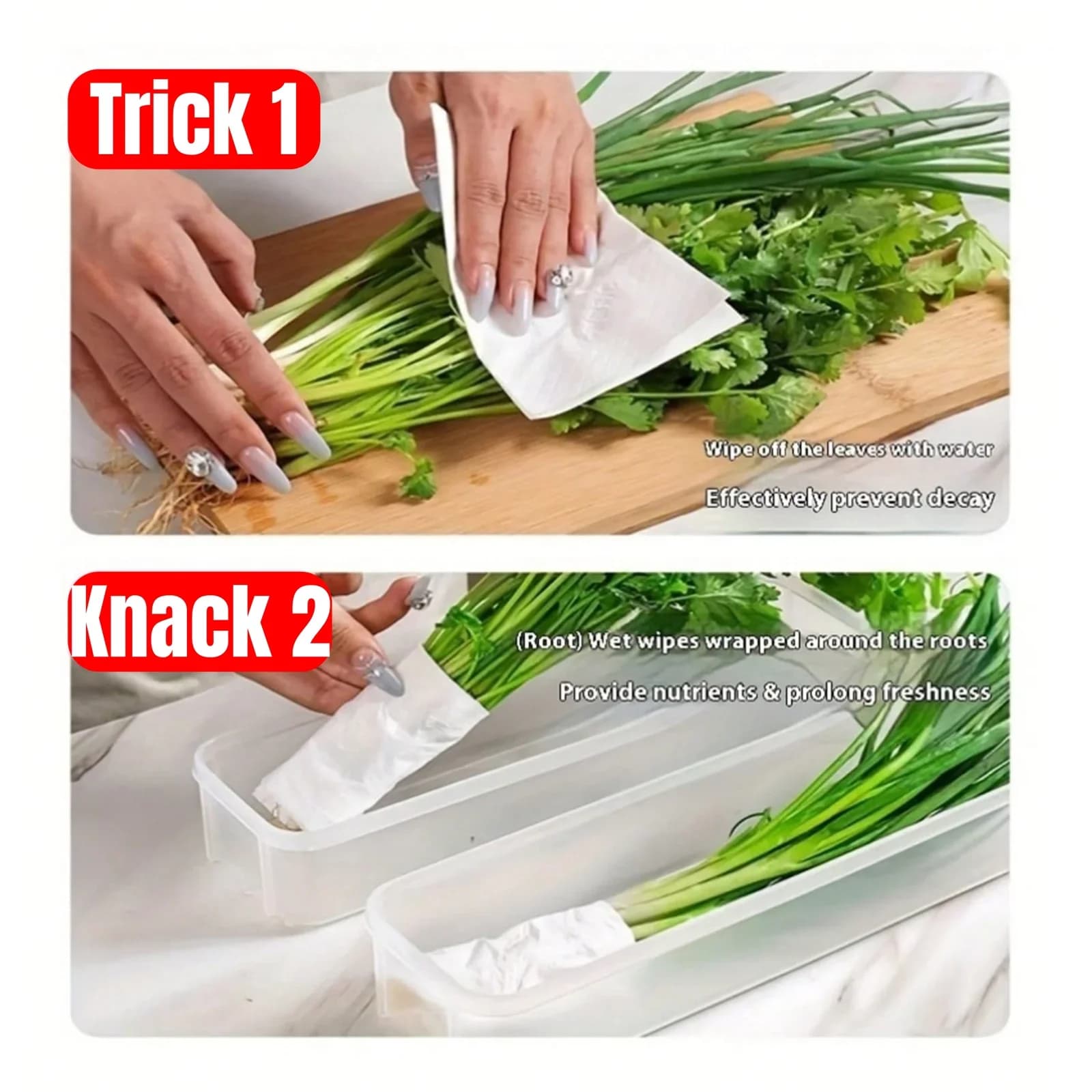 Contenitori Salvafreschezza per Frigorifero con Coperchio (1/2/4 pz) per Verdure e Alimenti