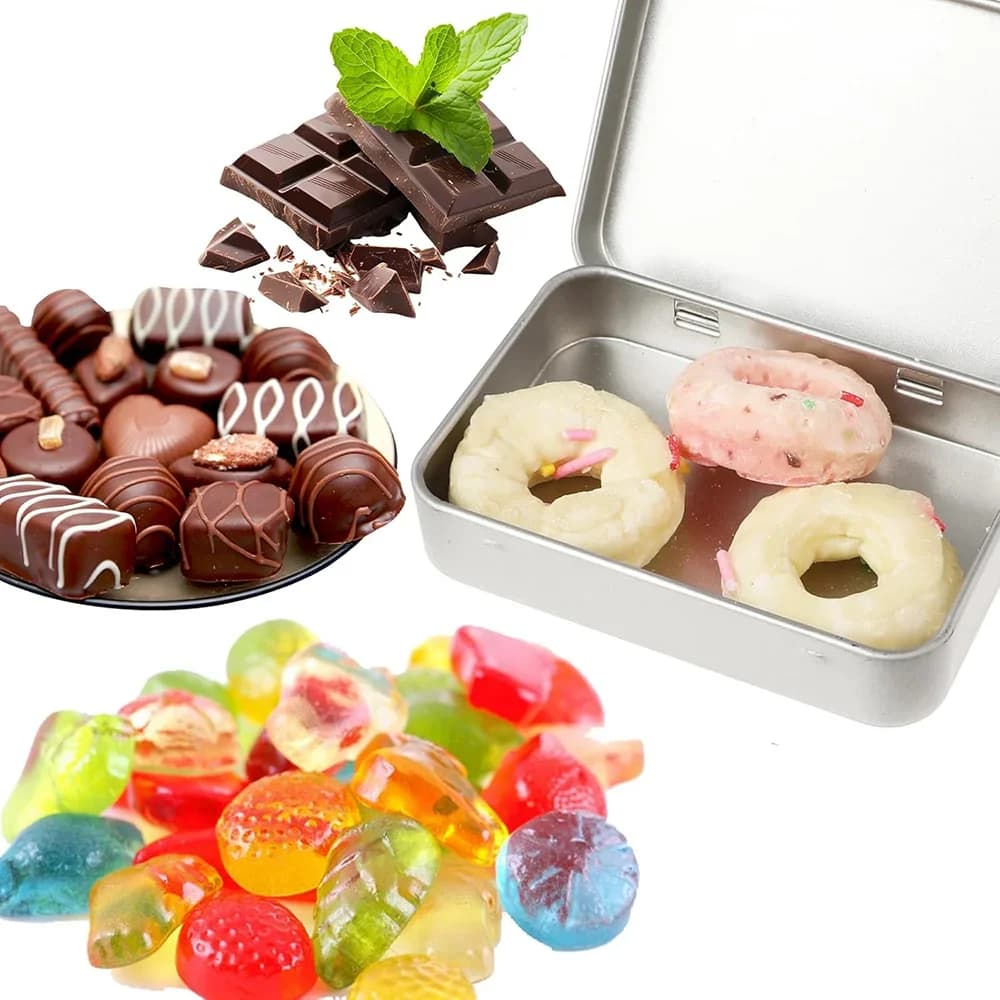Set da 6 Scatole di Latta con Cerniera Mini Contenitori Portatili in Metallo con Coperchio per Piccoli Oggetti