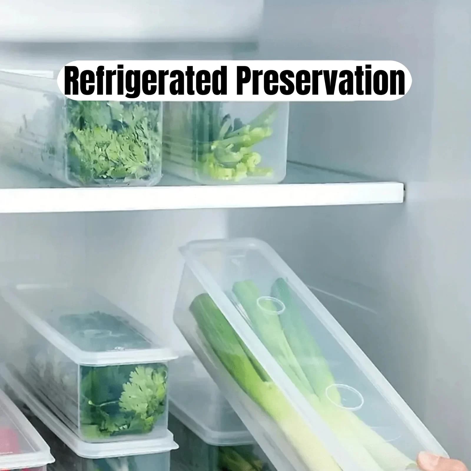 Contenitori Salvafreschezza per Frigorifero con Coperchio (1/2/4 pz) per Verdure e Alimenti